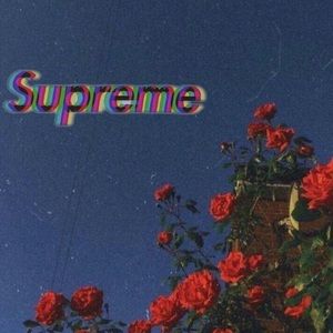 Meet your Posher, Brylee